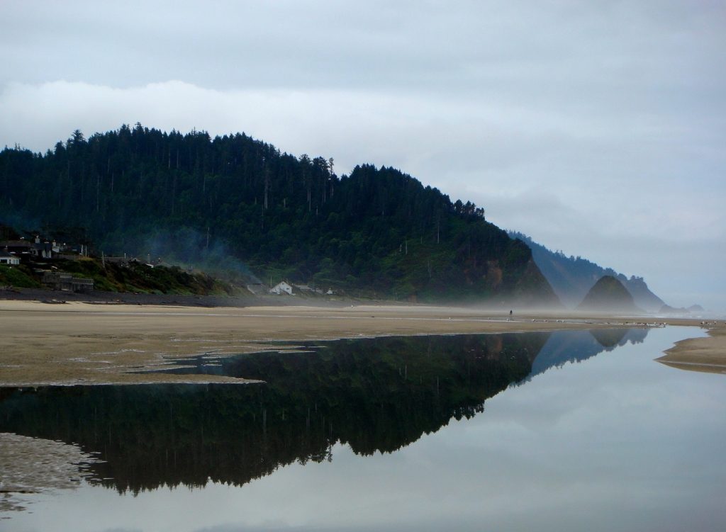 Beach Reflection5 - Arch Cape0001